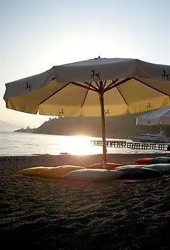 Serendip Select 4* Turunç