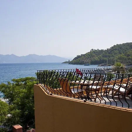 Serendip Select Turunç