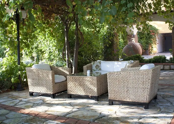 Serendip Select Turunc