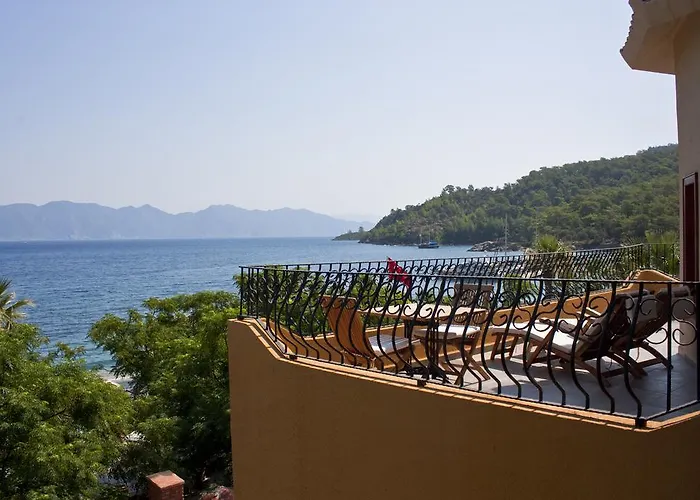 Serendip Select Turunc